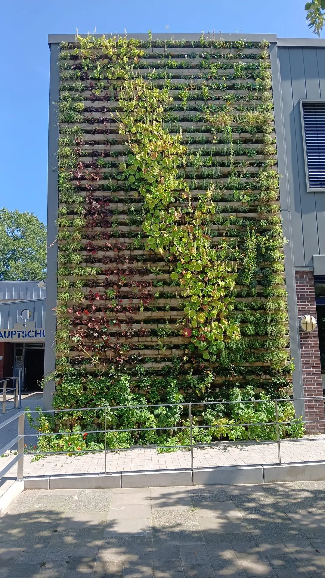 Biolit Vertical Green begrünte Fassadenwand aus Kalksandstein mit Moosansiedlung