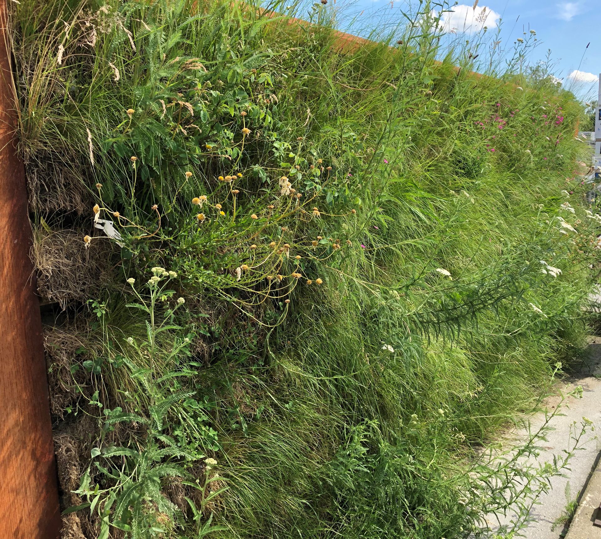 Lärmschutzmessung 53 dB Reduktion an Biolit Vertical Green Lärmschutzwand