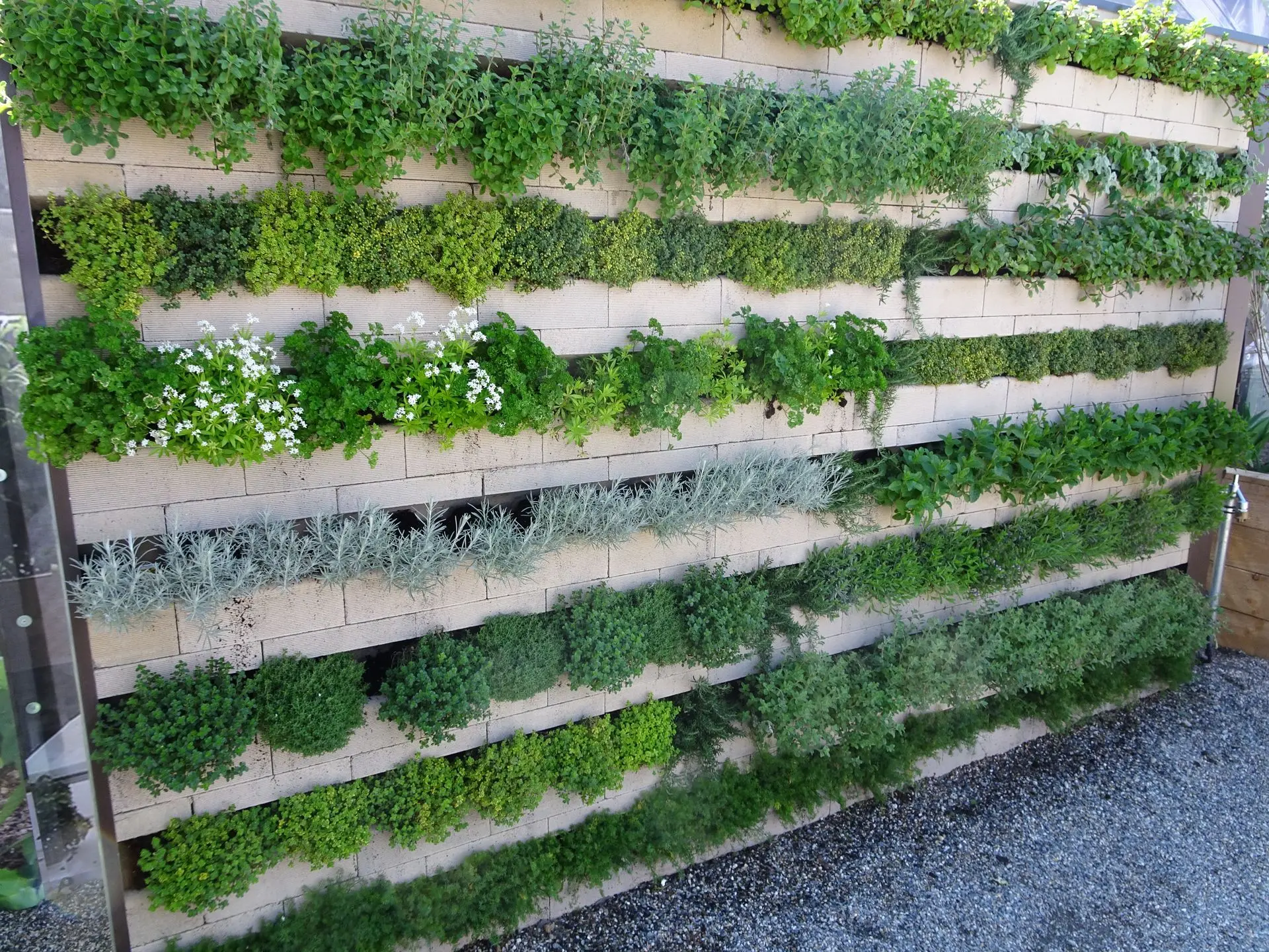 Kräuterwand mit biolit vertical green